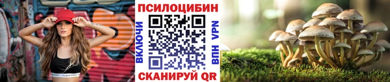 Псилоцибиновые грибы GOLDEN TEACHER Красный Кут